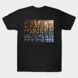 Light in the darkness landscape T-Shirt